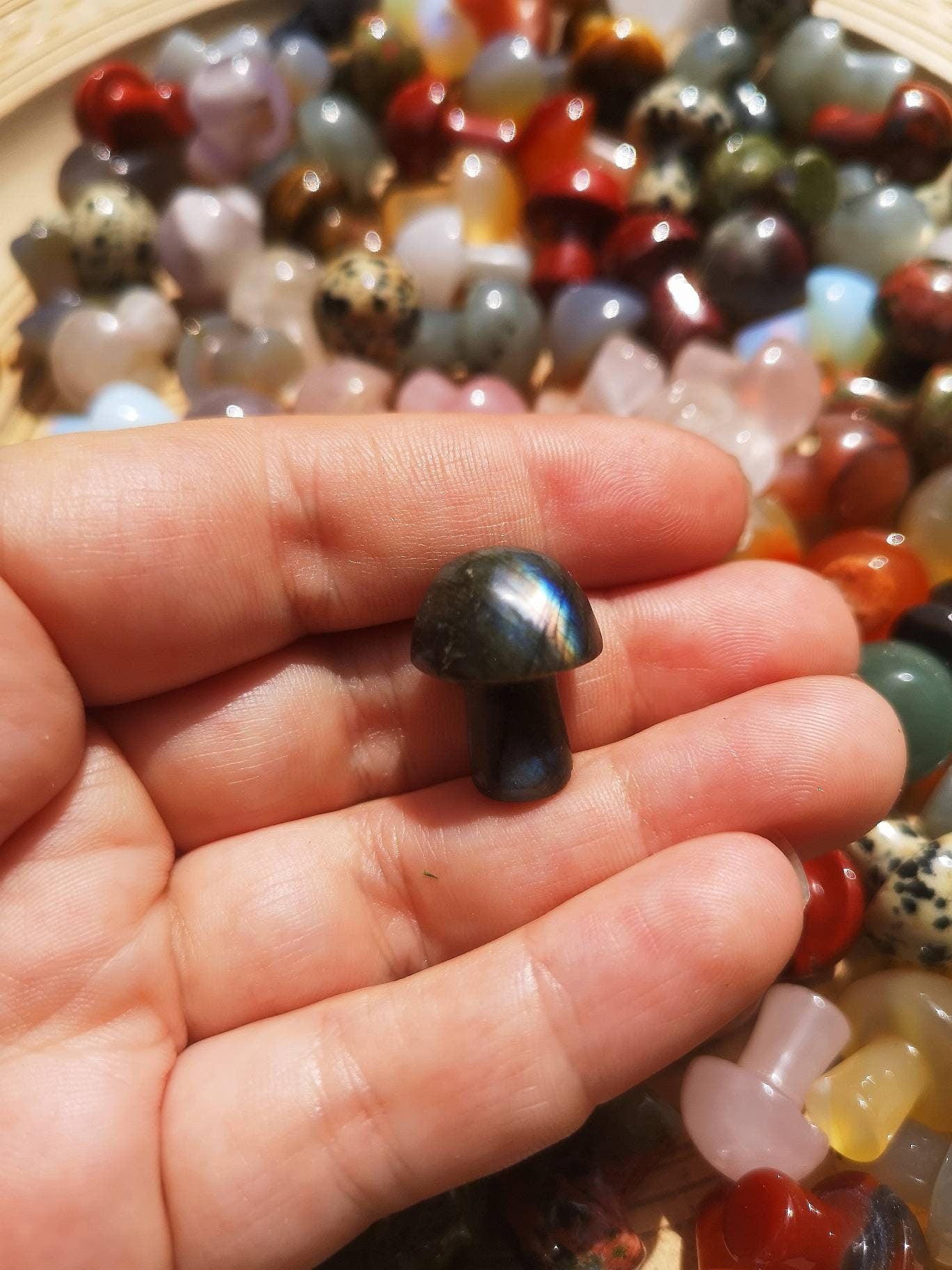 Mini Crystal mushroom Lucky dip