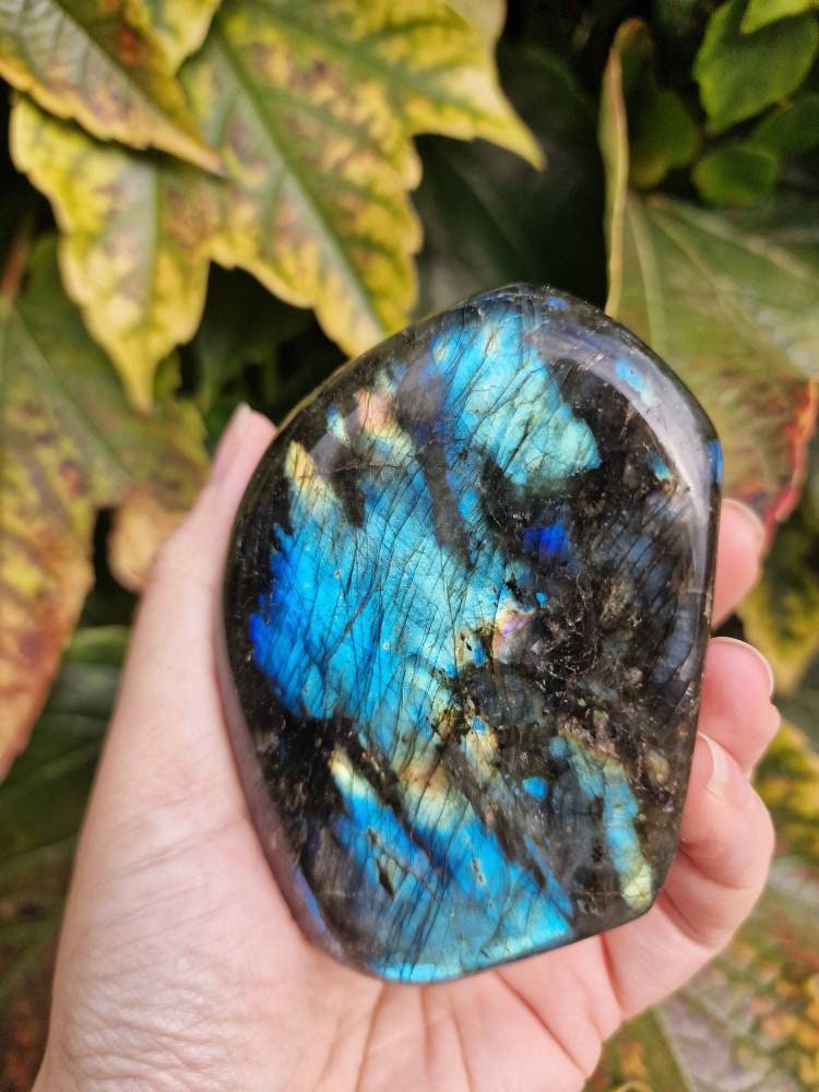 Beautiful blue green and yellow flash labradorite freeform 452g. Large statement Labradorite free form.