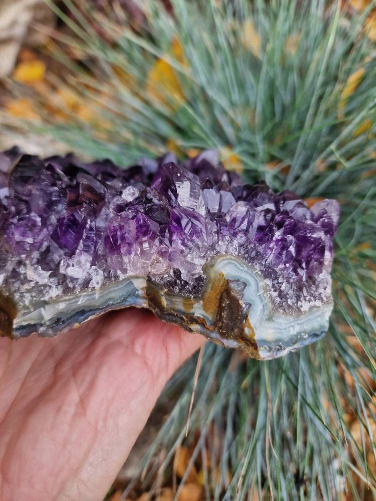 Beautiful Brazilian Amethyst Geode Cluster