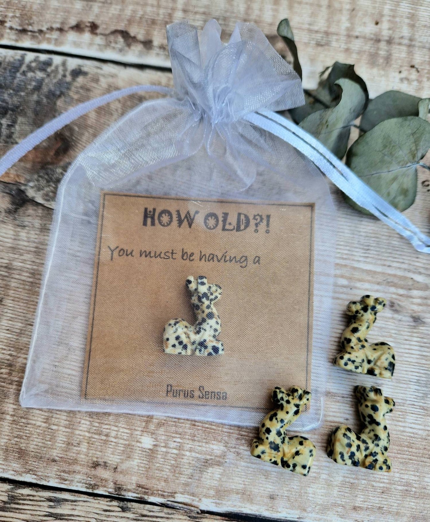 Funny Giraffe crystal birthday gift