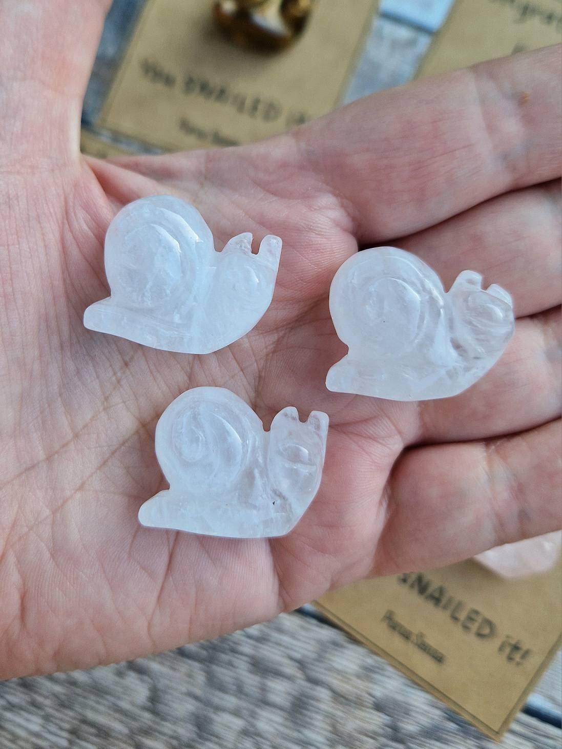 Cute congratulations Snail crystal gift