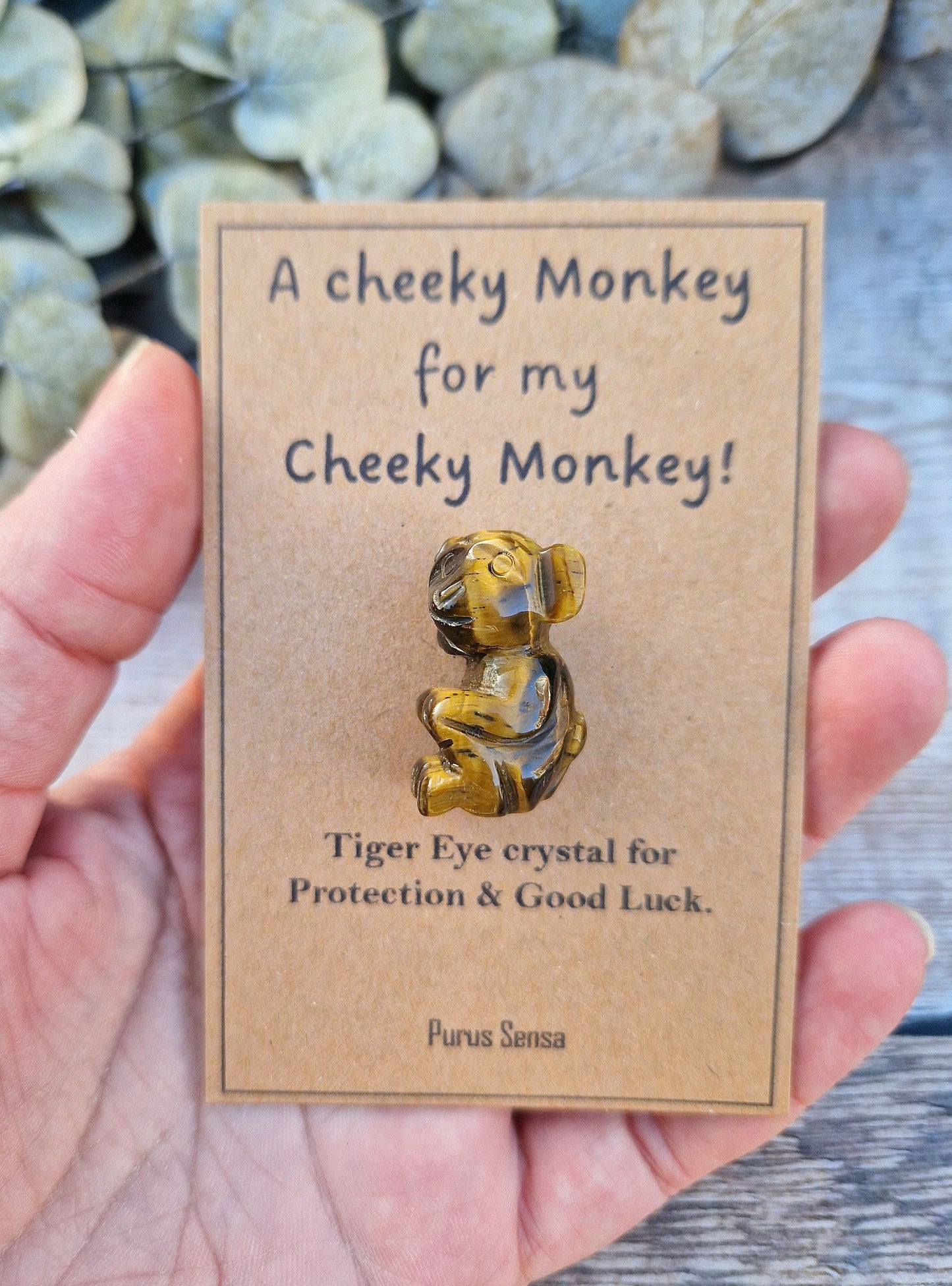 Cute cheeky monkey gift