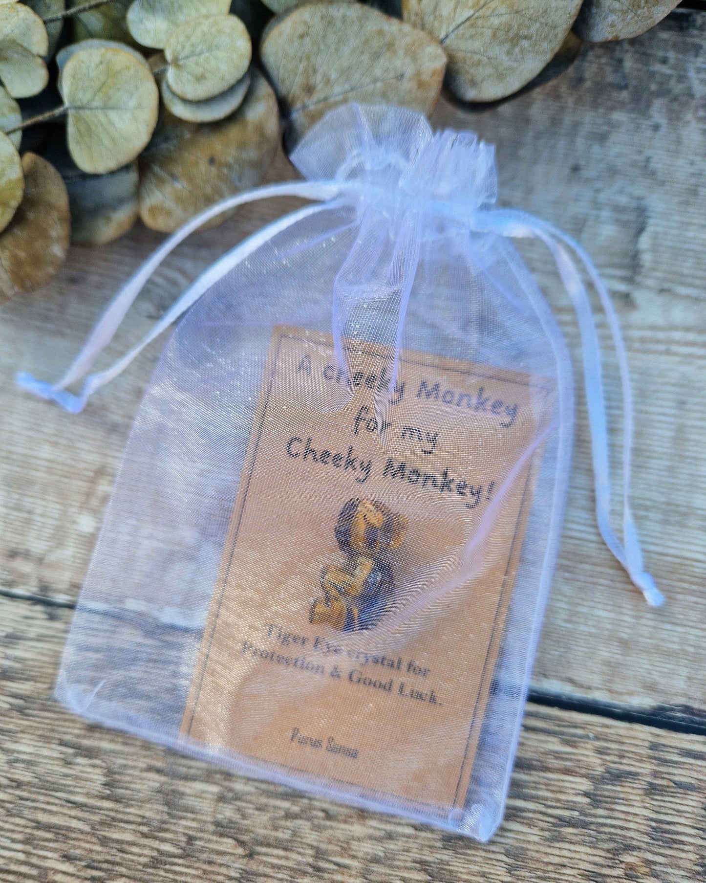 Cute cheeky monkey gift