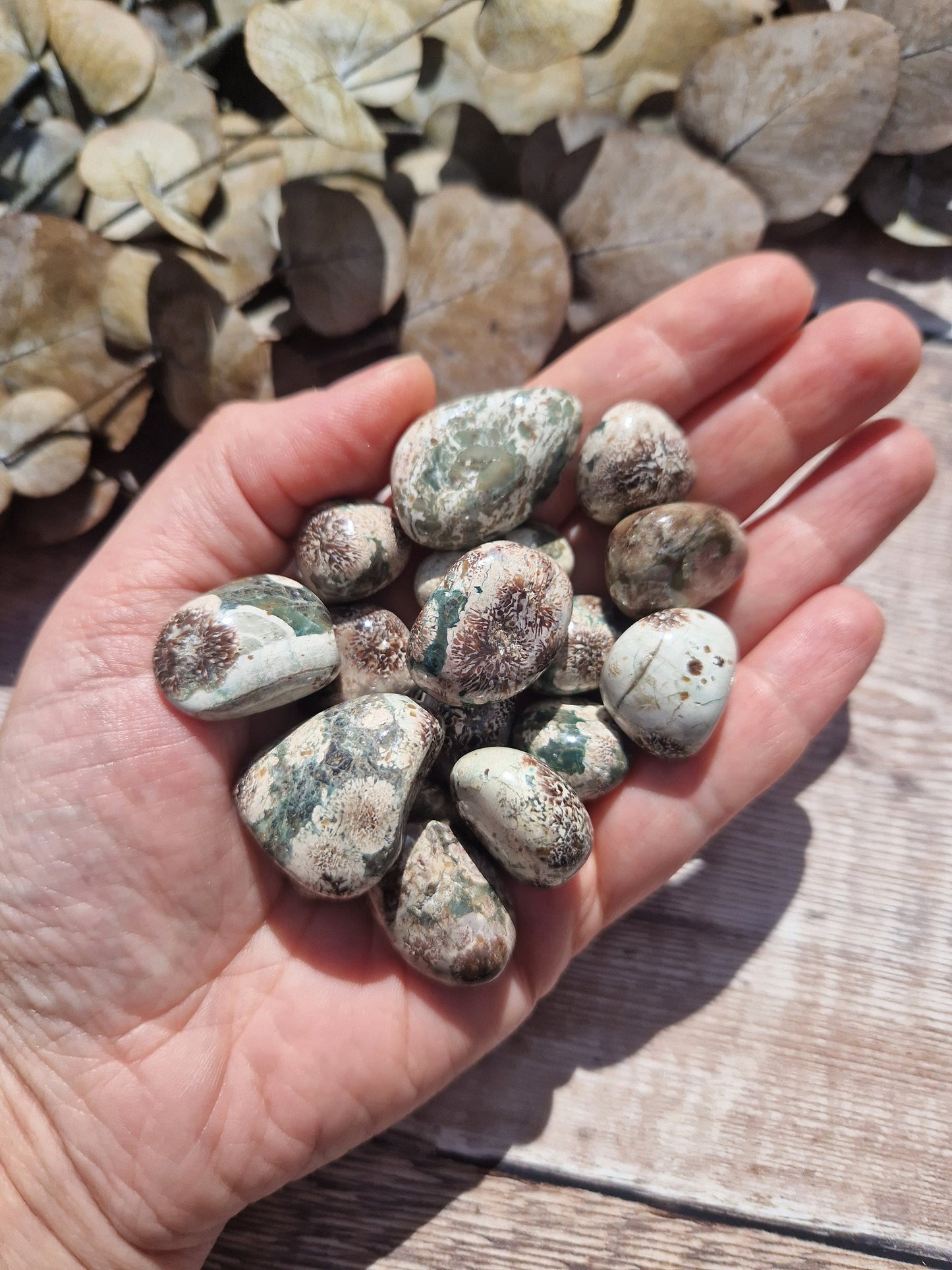 Beautiful High Quality Sakura jasper green flower jasper tumble stone