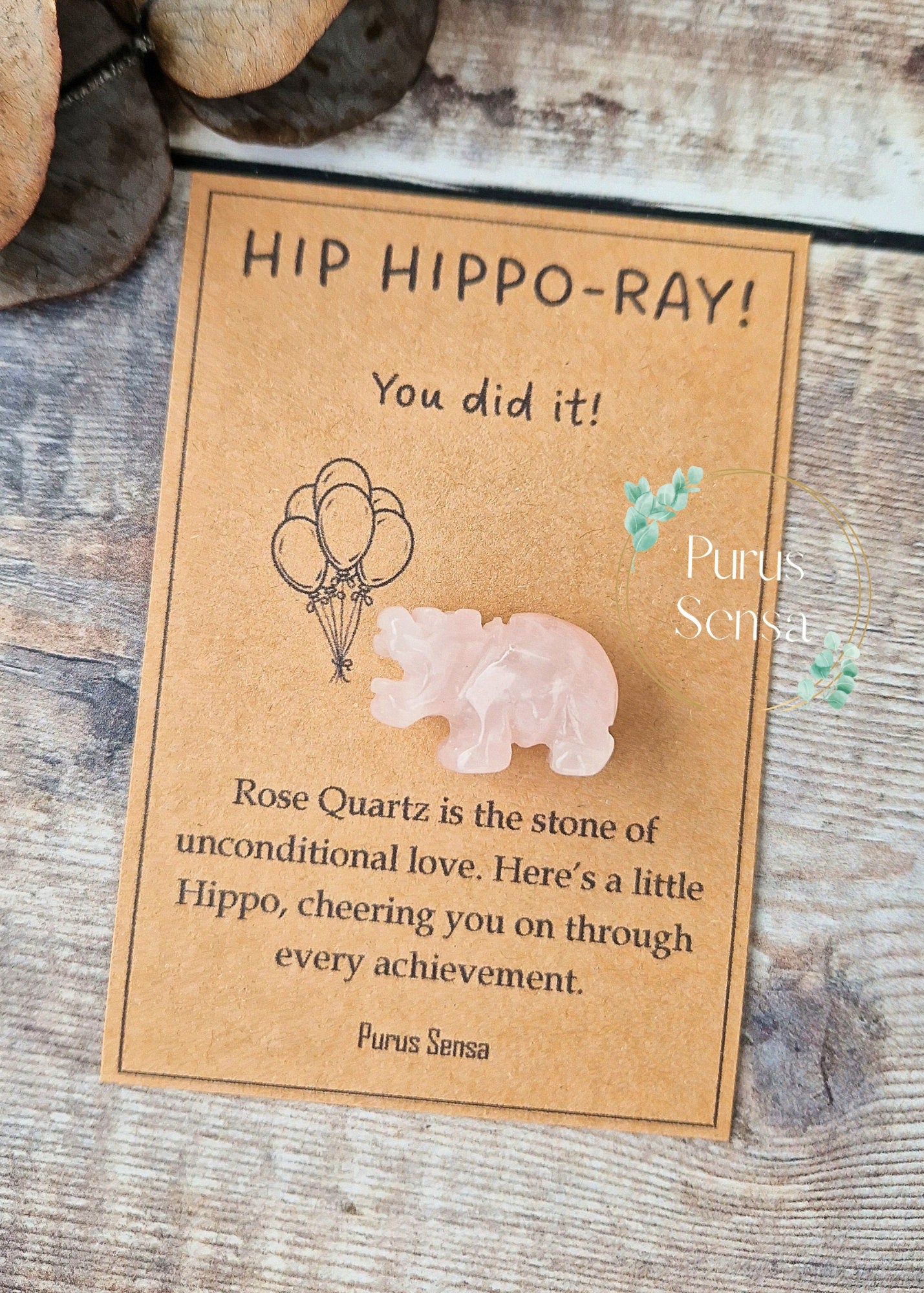 Cute congratulations Hippo gift