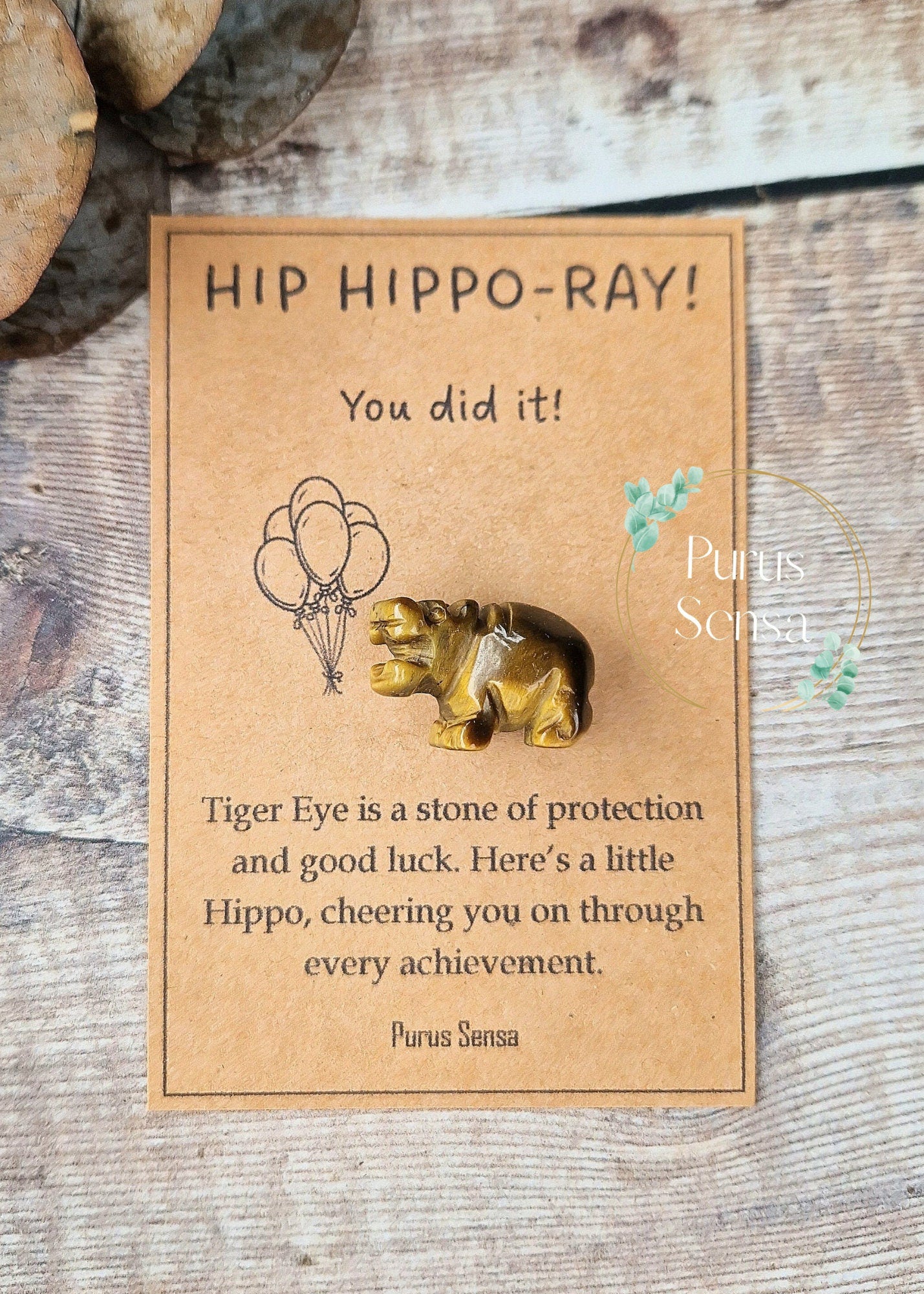 Cute congratulations Hippo gift