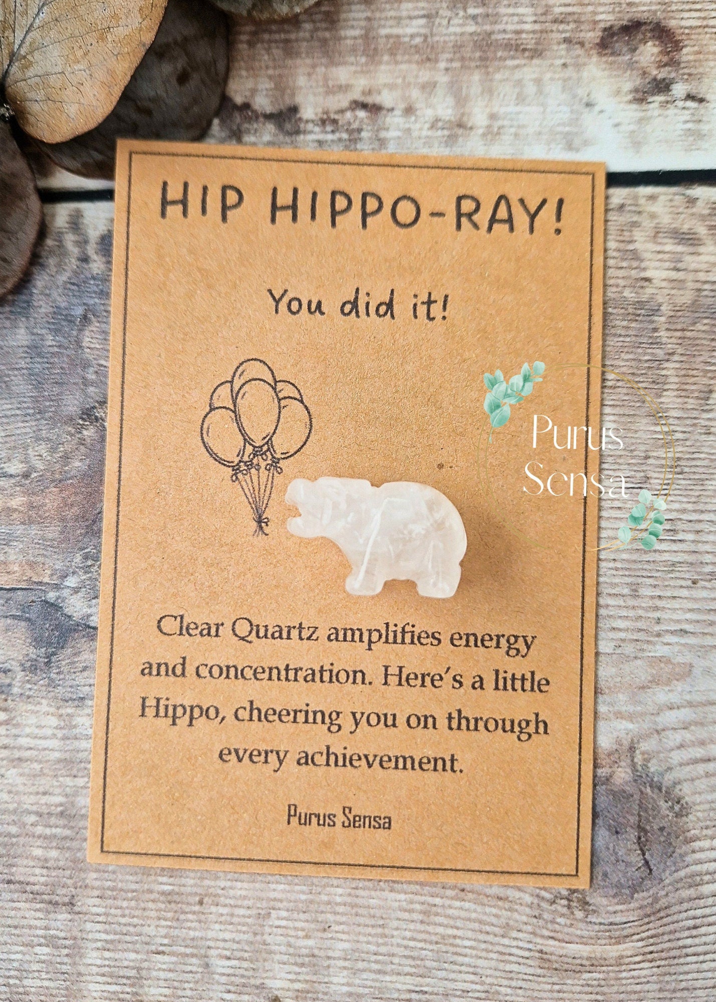 Cute congratulations Hippo gift
