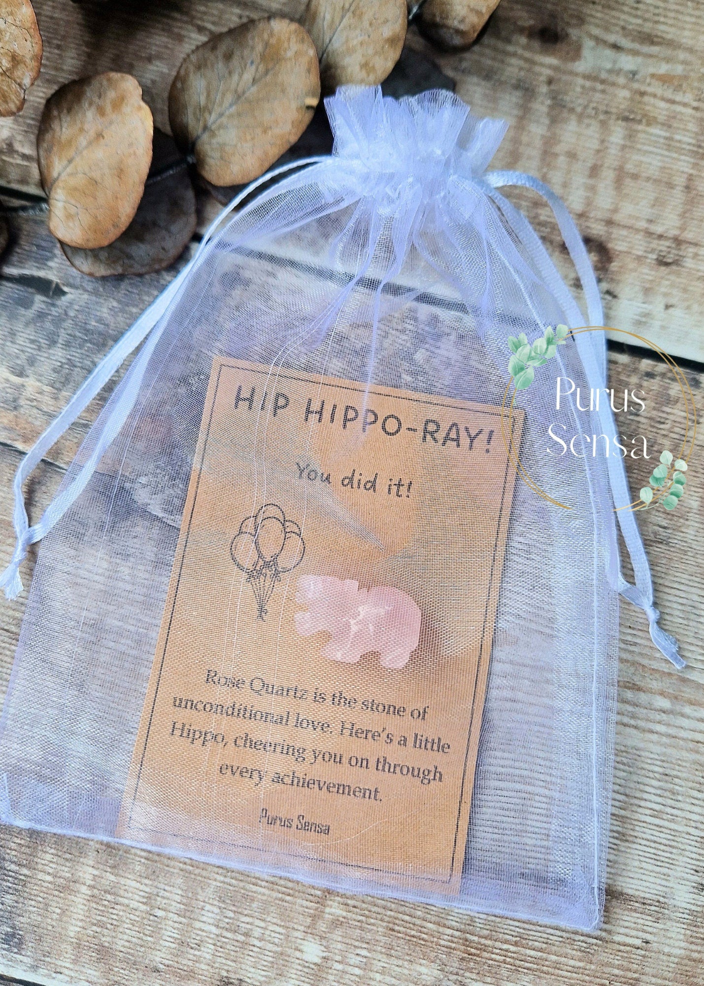 Cute congratulations Hippo gift