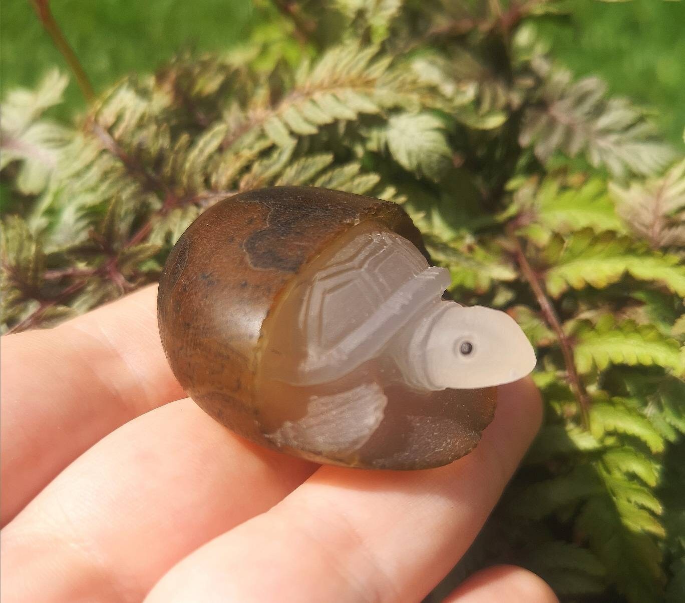 Unique Cute agate turtle carving