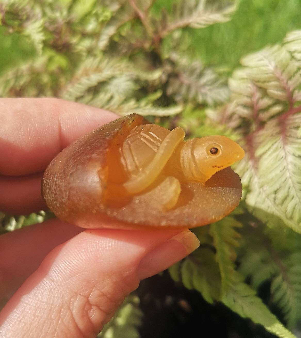 Unique Cute agate turtle carving