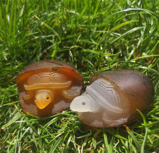 Unique Cute agate turtle carving