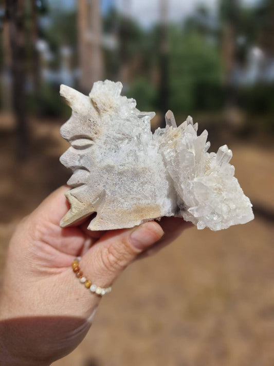 Rare Half Moon Quartz cluster Crystal carving