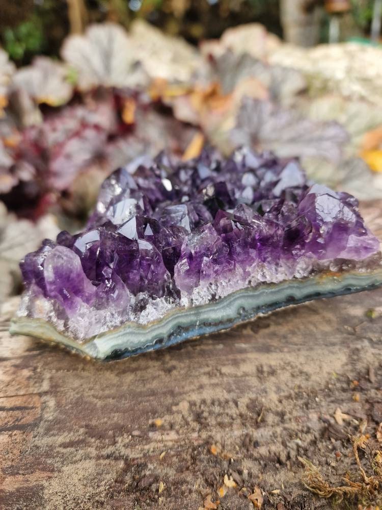 Beautiful Brazilian Amethyst Geode Cluster