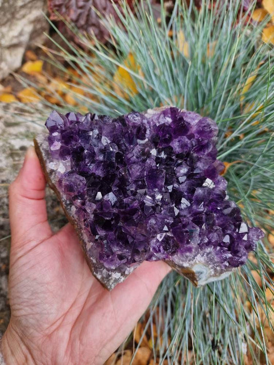 Beautiful Brazilian Amethyst Geode Cluster