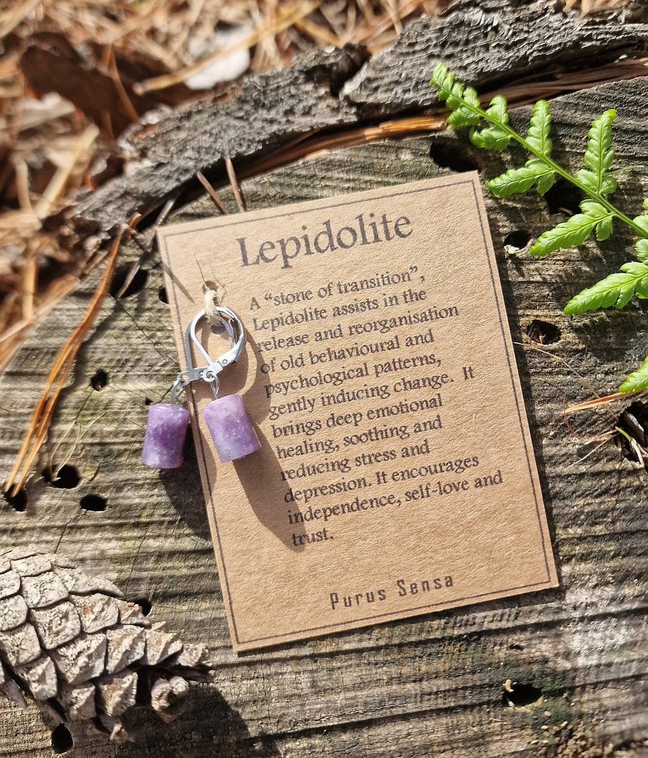 Beautiful Surgical steel Lepidolite huggie hoop earrings on a descriptive card