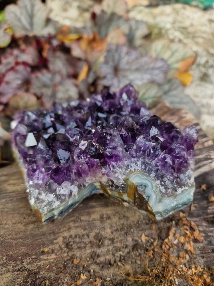 Beautiful Brazilian Amethyst Geode Cluster