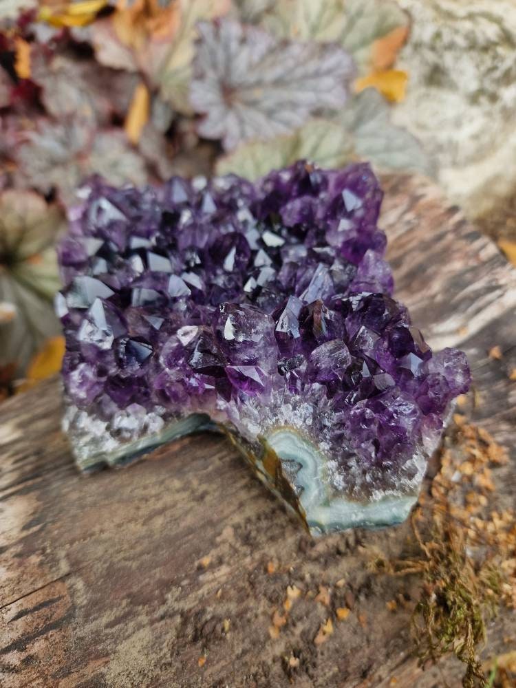 Beautiful Brazilian Amethyst Geode Cluster