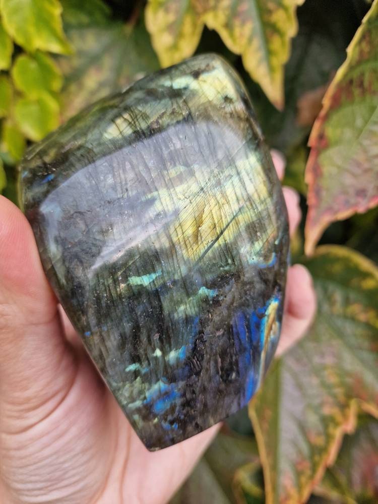 Beautiful large labradorite freeform yellow green and blue flash with rainbow 895g