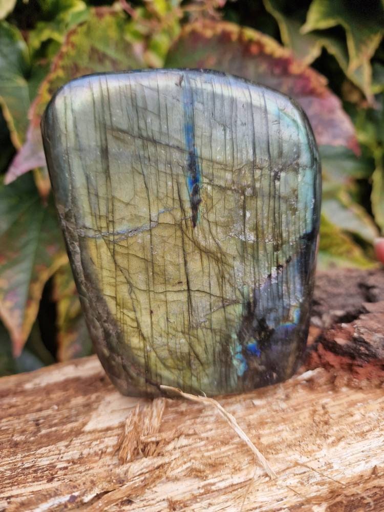 Beautiful large labradorite freeform yellow green and blue flash with rainbow 895g