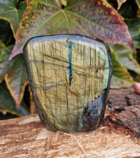 Beautiful large labradorite freeform yellow green and blue flash with rainbow 895g