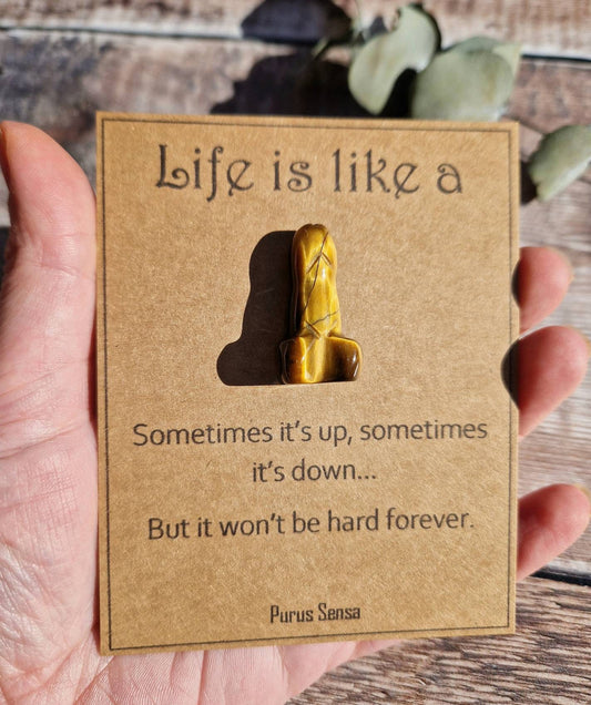 Life is like a penis funny gift