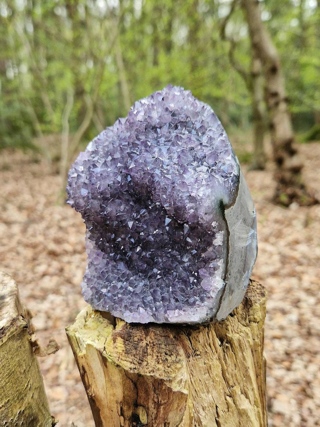 Beautiful amethyst geode 880g. Double sided amethyst cathedral geode. Large statement amethyst. Unique