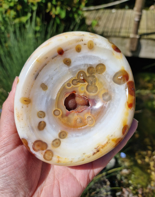 Beautiful rare statement carnelian bowl with a druzy pocket in the middle 530g