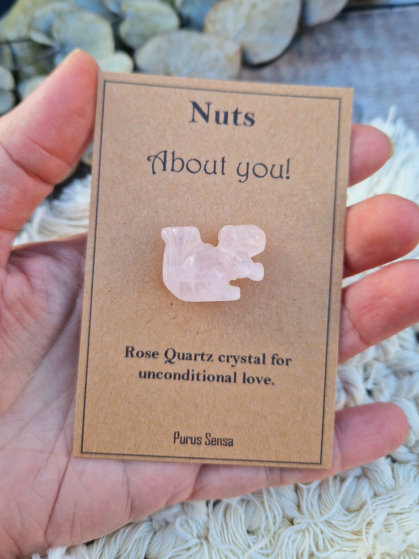 Cute nuts about you squirrel gift