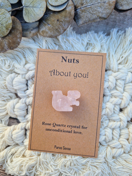 Cute nuts about you squirrel gift