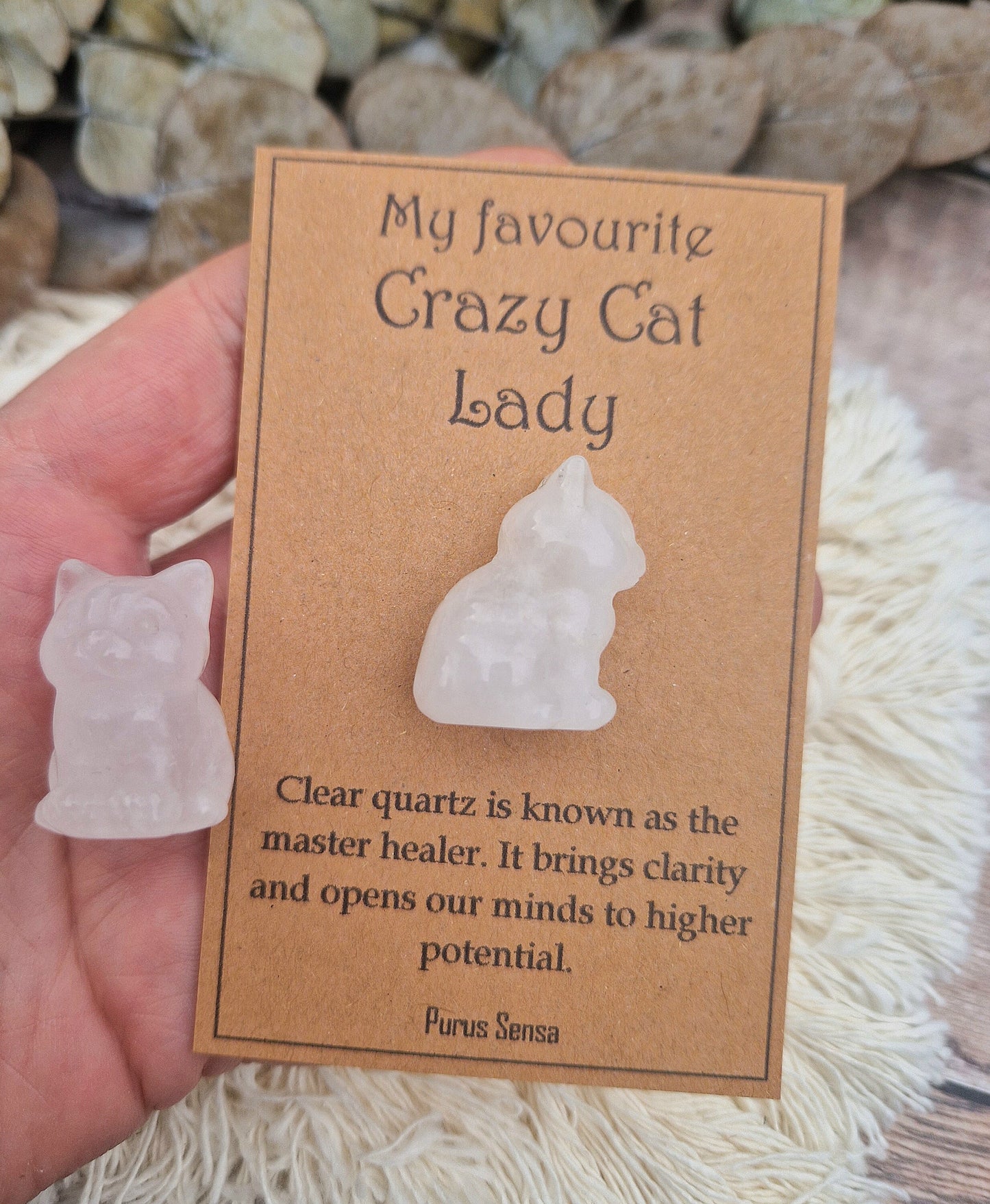 Crazy cat lady gift