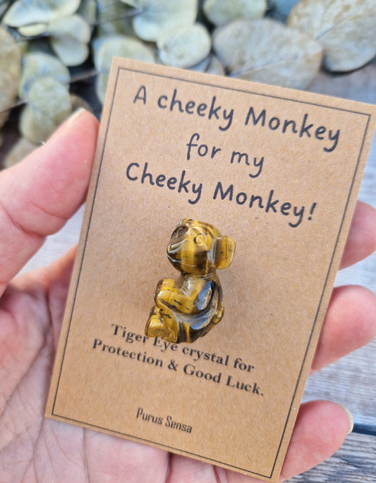 Cute cheeky monkey gift