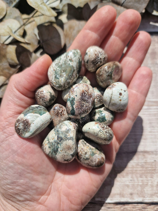 Beautiful High Quality Sakura jasper green flower jasper tumble stone