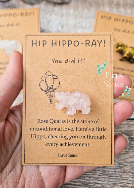 Cute congratulations Hippo gift