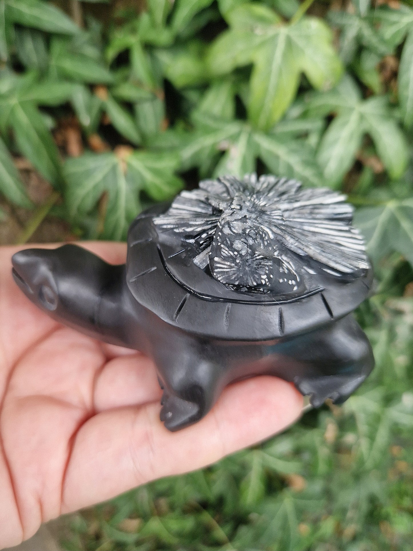 Beautiful rare chrysanthemum turtle carving 70mm x 50mm